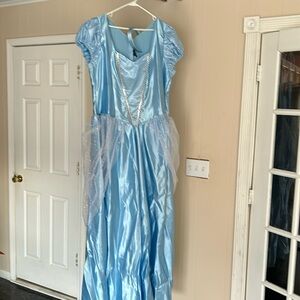 Adult princess costume